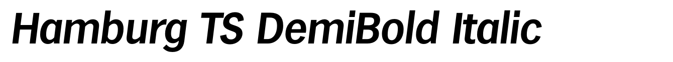 Hamburg TS DemiBold Italic image